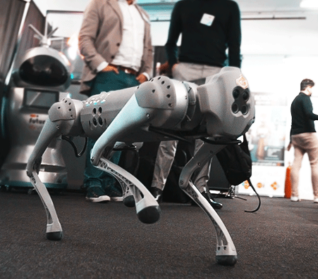 Doggy Bot robot con forma de perro bailes carreras efecto wow